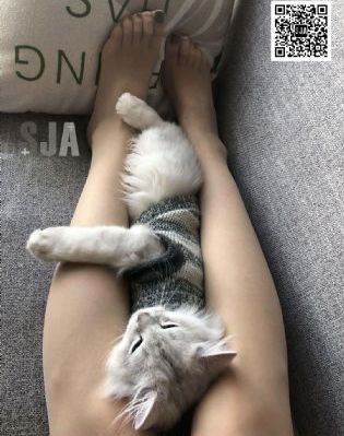 《漂亮的女邻居》bd