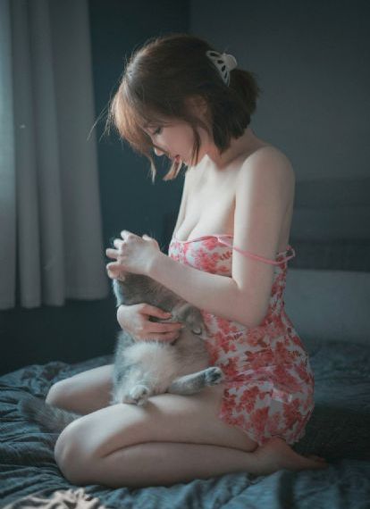 藏海花电视剧全集在线观看 免费