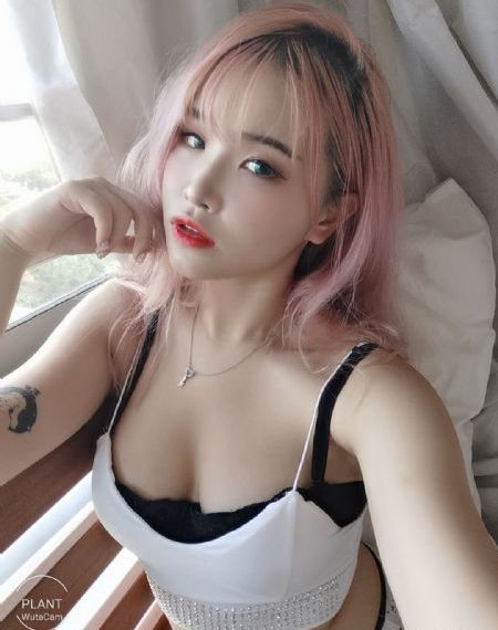 我和我的倾城时光