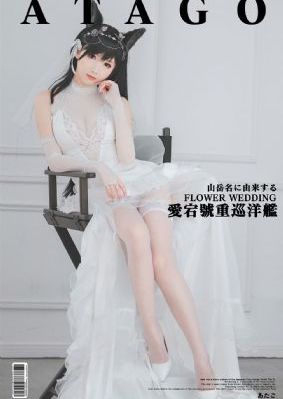 555电影在线观看免费高清完整版