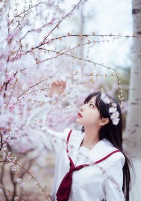 电影无价之宝